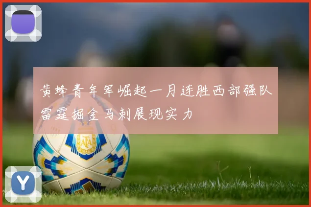 黄蜂青年军崛起一月连胜西部强队雷霆掘金马刺展现实力